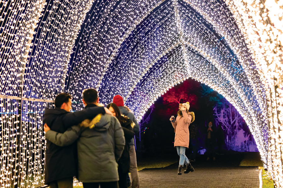 Step into a Magical Holiday Light Show