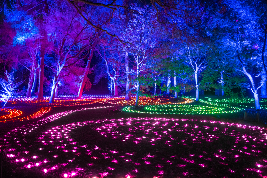 Picture-Perfect Moments