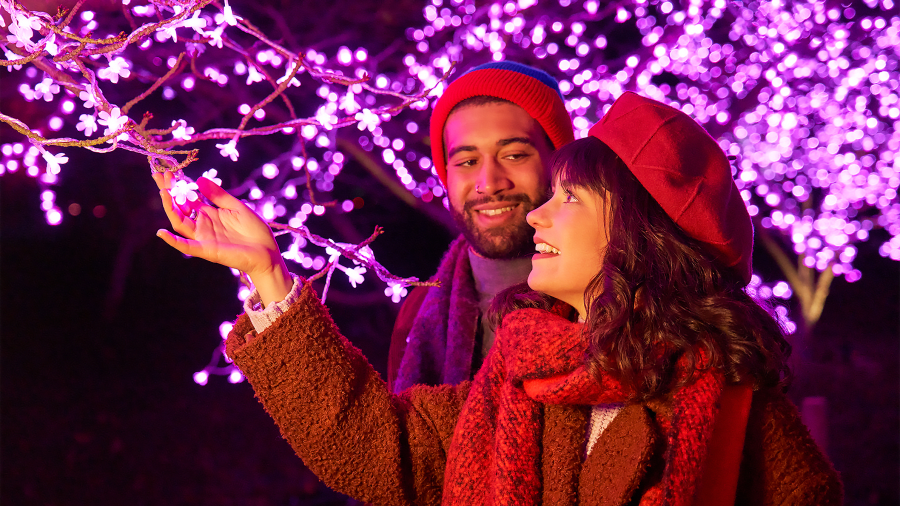 Step into a Magical Holiday Light Show