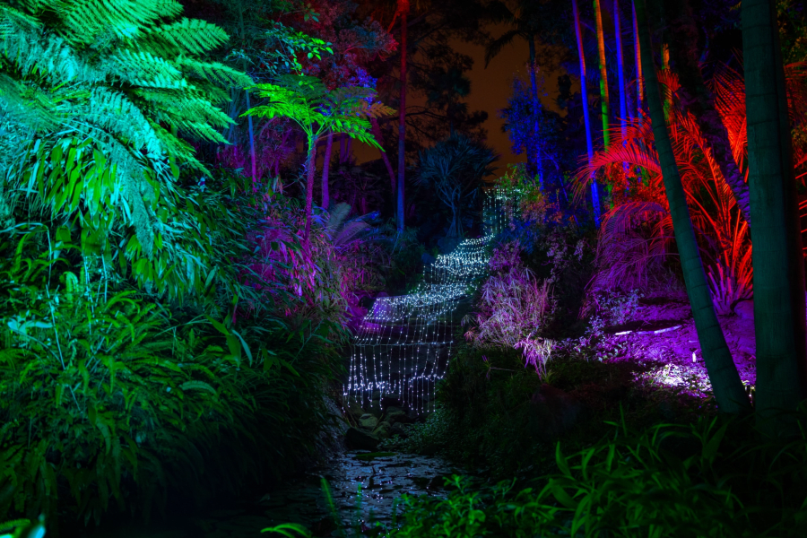 A Magical Holiday Light Show