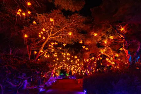 Lightscape