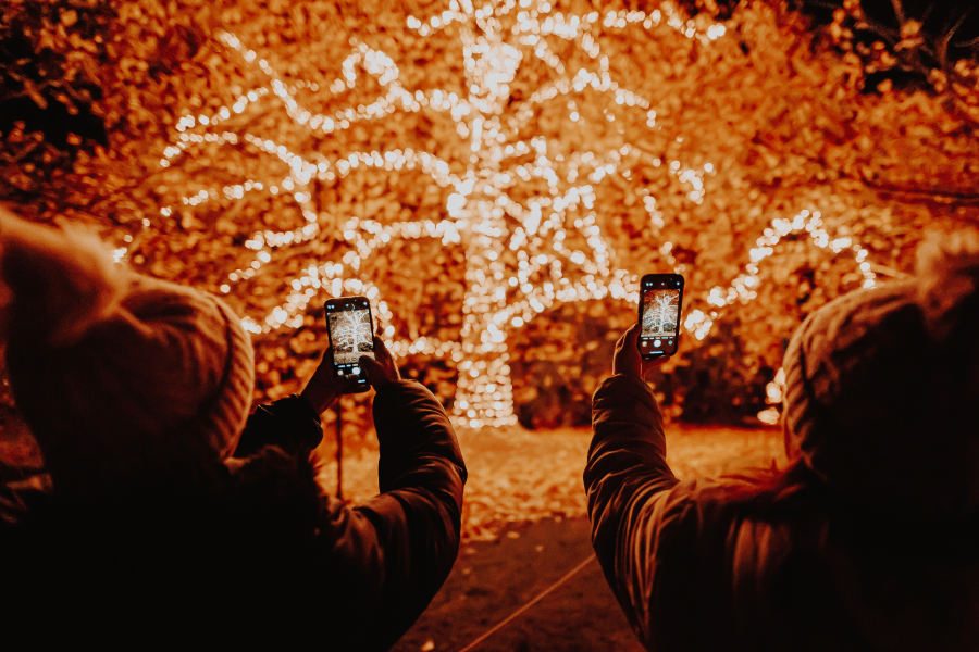 Picture-Perfect Moments