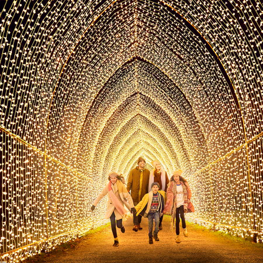 Winter Cathedral