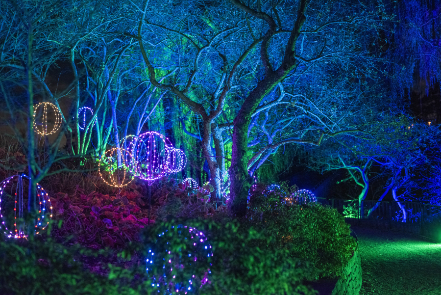 A Magical Holiday Light Show